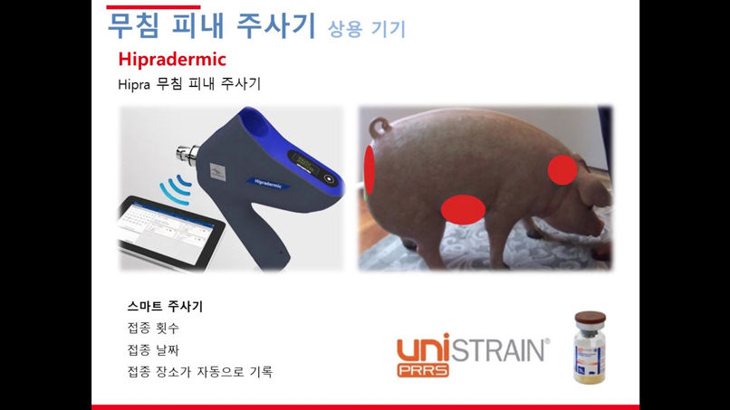 PT_ SUNJIN Co.ltd. Sung-gyun Kwon 院长